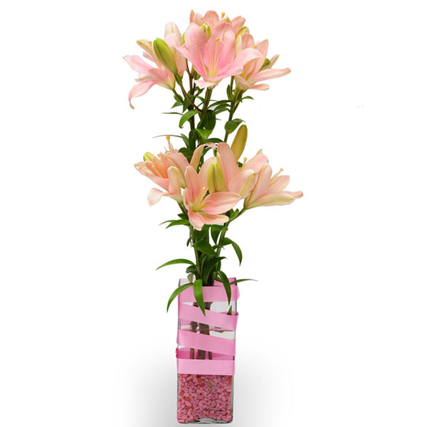 Send Pink Asiatic Lilies in Glass Vase Online - EXDFNP125GAL | Giftalove