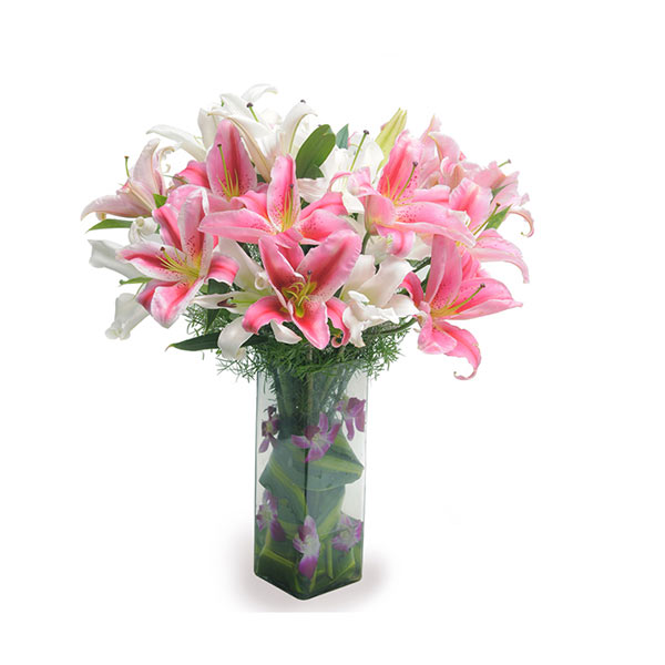 Send Lilies & Orchids in Glass Vase Online - EXDFNP479GAL | Giftalove