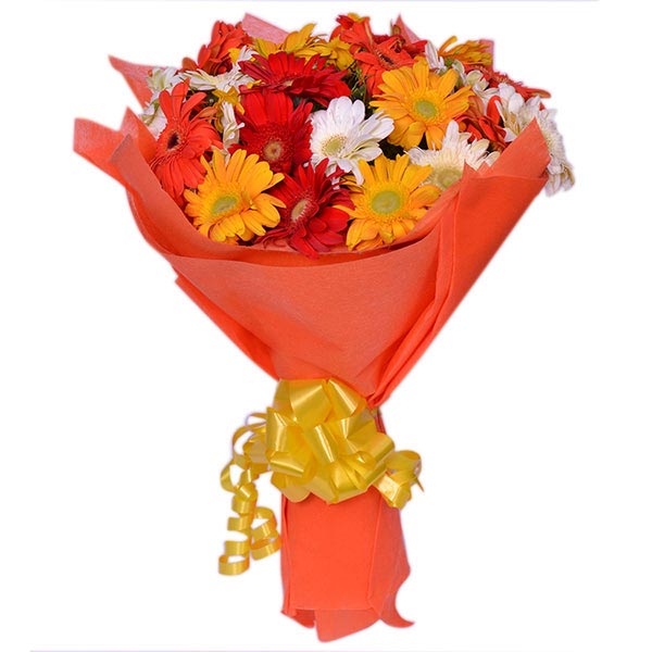 Send Appreciative Gerbera Flowers Bouquet Online GAL22108524 Giftalove