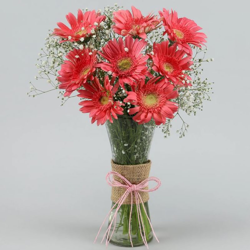 Send Salmon Pink Gerberas in Glass Vase Online - GLGAL23-110096 | Giftalove