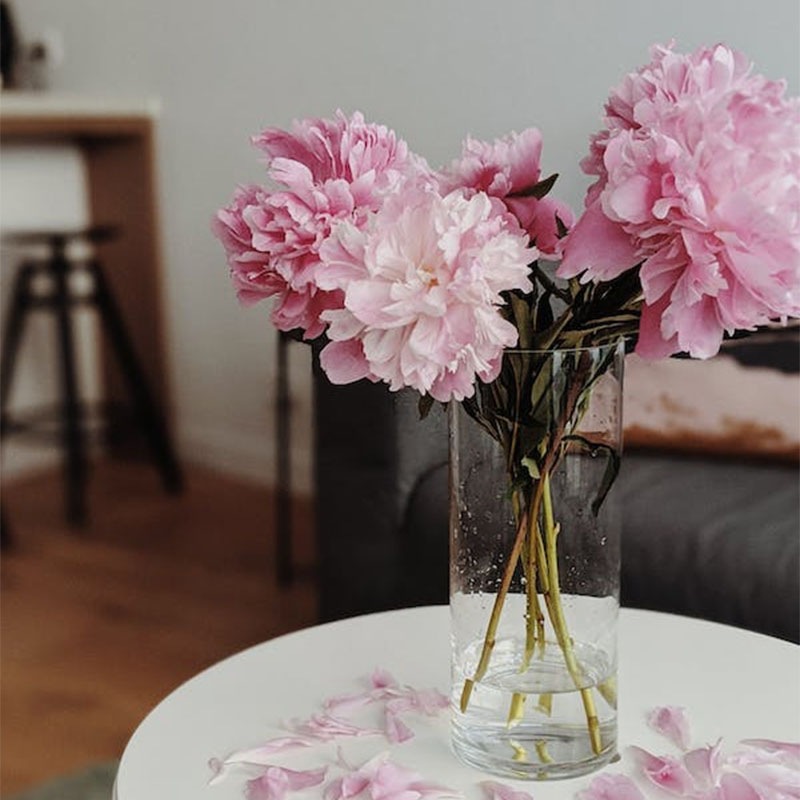 Send Striking Pink Carnations in Glass Vase Online - GLGAL23-110093 ...