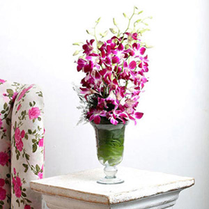 6 Purple Orchids in Traditional Glass Vase