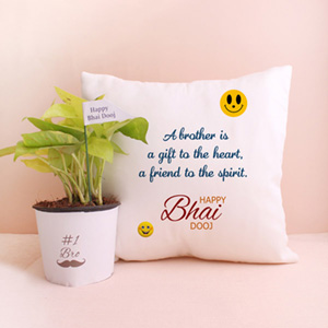 Lovely Combo for Bro