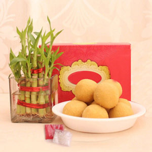 Lucky Bamboo with Besan Laddoo