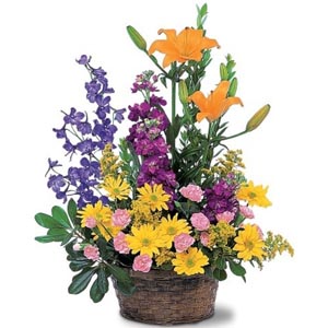 Basket of Mixed Flowers - Canada