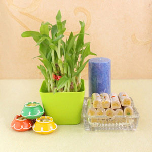 Eco-Friendly & Sweet Surprise