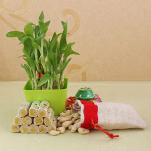 Diwali Cashew Delight