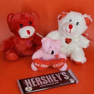 Combo of three Teddy with Chocolate Bar