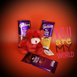 Teddy Combo with Cadbury
