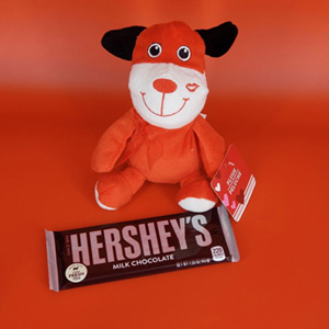 Combo of Teddy and Chocolate