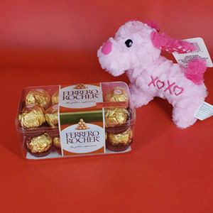Teddy and Ferrero Rocher Combo