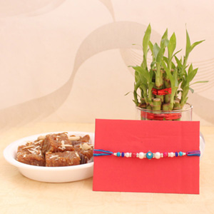Thoughtful Rakhi combo