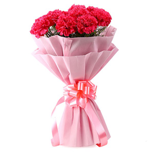 Sweet Pink Carnations Bouquet Online