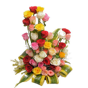 Embracing Mixed Roses