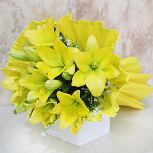 Pretty Yellow Lily Bunch