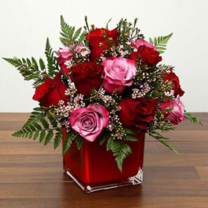 Red and Pink Roses In A Vase