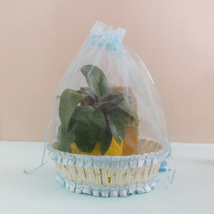 Red Philodendron & Chocolate Basket