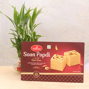 250gm Haldiram Soan Papdi with Bamboo Plant