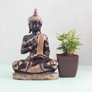 Thoughtful Pair of Syngonium Plant & Buddha