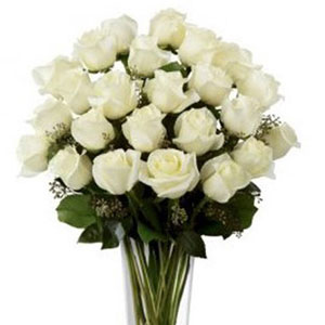 2 Dozen White Roses