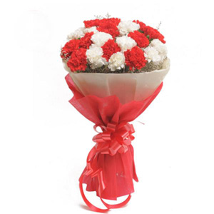 Red N White Carnations Bouquet