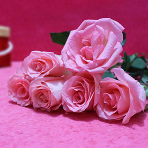Beautiful Pink Roses : Bhai Dooj Flowers