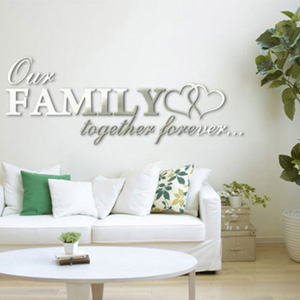 3D Wall Décor Silver Mirror Sticker - Our Family