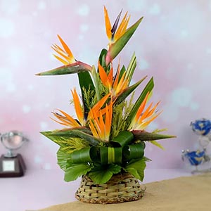Bird of Paradise Flower in Basket