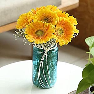 Blissful Yellow Gerberas in Glass Vase for Valentine