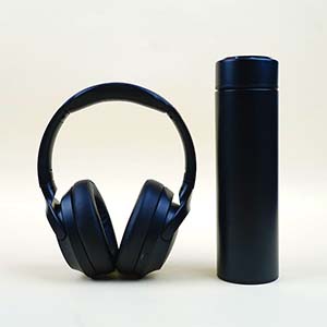 Classic Headphone and Temperature Bottle Duo