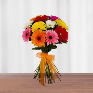 Colorful Gerbera Bouquet