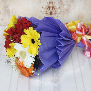 Colorful Gerbera Bunch - Gerbera Flowers