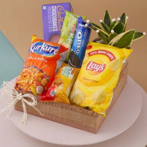 Delightful Snacks and Plant Hamper