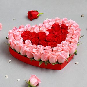 Heart Shaped Basket of Mixed Roses for Rose Day
