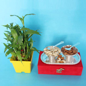 Lucky Bamboo and Nuts Hamper