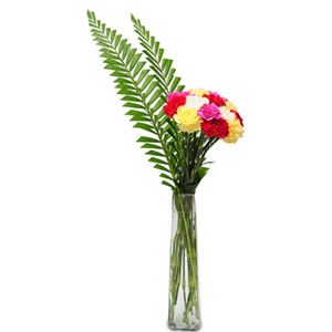 Mixed Carnations Glass Vase Arrangement