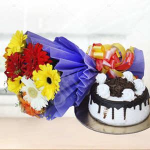 Mixed Gerbera Flowers with Black Forest Cake 