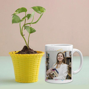 Photo Mug with Money Plant Combo - Appetizers & Snacks