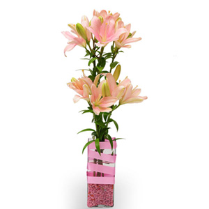 Pink Asiatic Lilies in Glass Vase 