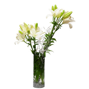 Sweet White Lily in Glass Vase 