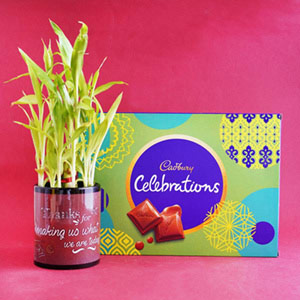 Teachers Day printed Mug with Bamboo Plant and Cadbury celebration