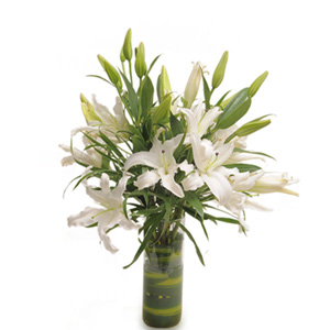 White Oriental Lilies in Glass Vase