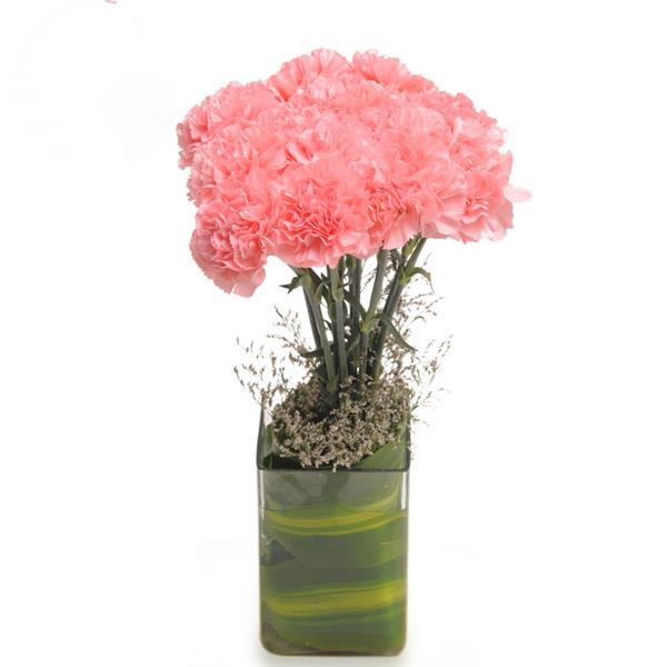 Send Light Pink Carnations in Glass Vase Online