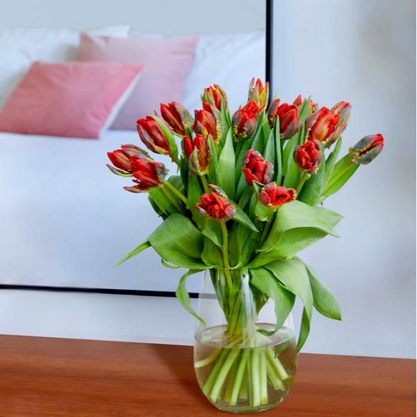 Send Valentines Tulips Online