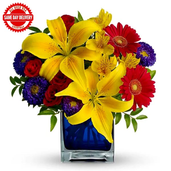 Send Carribean Dream Online