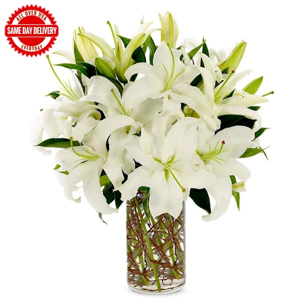 Send Simply White Online