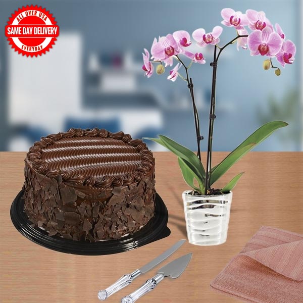 Send Cake and Orchid Plant Online
