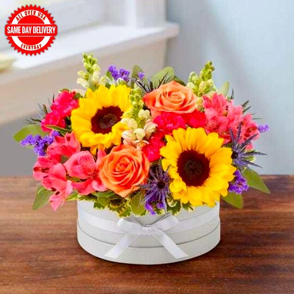 Send Bespoke Hatbox Online