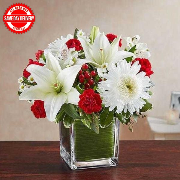 Send White N Red Delight Online