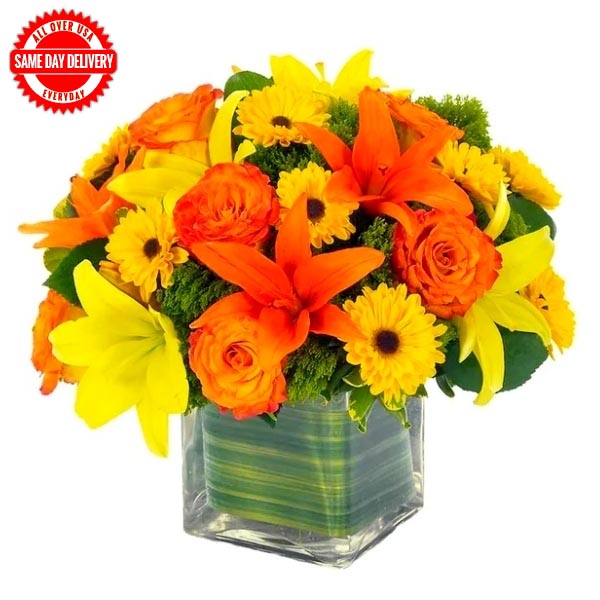 Send Colourful Magic Online